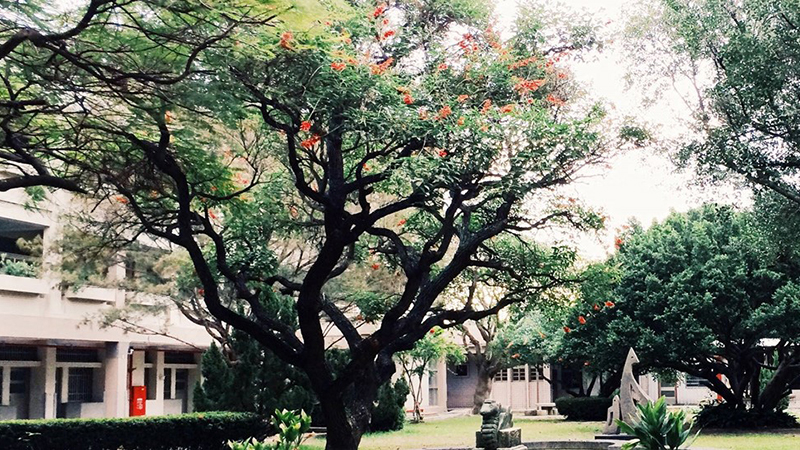 臺南市東山國民小學封面